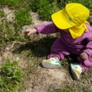 아가숲어린이집 이미지