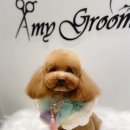 에이미 그루밍 이미지