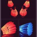 배드민턴 이미지