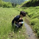 승수농장 이미지