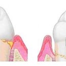 그린필치과의원 이미지