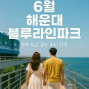미포쌈밥 | 6월 부산 해운대 블루라인파크 여행기! 미포~청사포 바다열차 타고 감성 산책까지