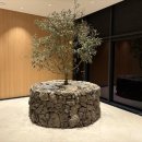 오레브리조트(O'reve Resort) 이미지