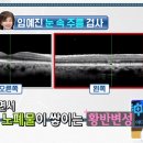 그린쌈밥 이미지