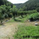 오서1천 네이버블로그