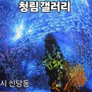 청림목공예
