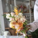 카멜리아플라워 이미지