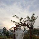 사회복지법인 천주교성체회 새감마을