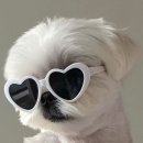 제이엠티엘티 이미지