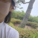 내돈내산 여름 라운딩 준비물, 가성비 골프 썬패치 꼭 챙기세요!