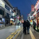 숲이야기 | 인계동 타로사주 이야기 숲, 솔직 후기