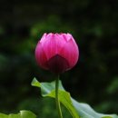 예일한의원 이미지