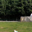 양주감악산캠핑장 이미지