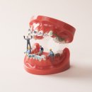 강서정석치과의원 이미지