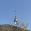 남산공원길2 이미지