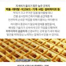진성골재 이미지
