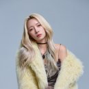 둥지엔터테인먼트 이미지