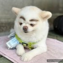 송지시장 이미지