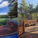 H&d 수제간식 이미지