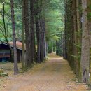 아버지의 숲 산정캠프 이미지
