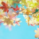 홀리데이나이트 이미지