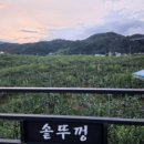 우성용봉 이미지