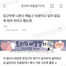 다해마켓