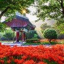 사등농장 이미지