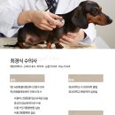 뉴본동물의료센터 이미지