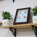 로뎀나무 이미지