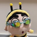 [수린이 일기] Ep. 04 경량화를 위한 수영 추천템(소비요정), 수경 얼룩 제거하기, 강습 후기