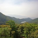 완도수목원 이미지