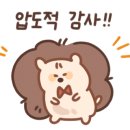 핫캠핑장 이미지