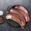 청정해 쇼핑하우