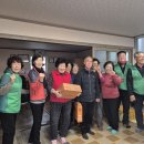 정의5리 Daum카페