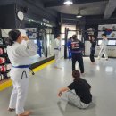 인천MMA 따뜻한 가족 같은 체육관, 검단 그레이시바하 주짓수 후기