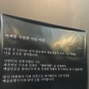 아나로기즘 네이버블로그