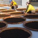 화개영농조합법인 이미지