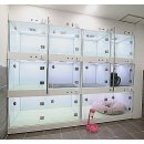 닥터호오 동물병원 이미지
