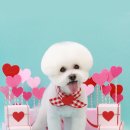 제일 그루밍샵 이미지