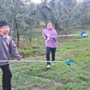 새봄약품 이미지