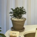 제이위즈통상 | wis - ely 지혜롭게 (라고 쓰고 네일샵 창업기(?)라고 읽는다)