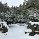 제주 도련동 귤나무류 | 제주 유아동반 여행지, 유진팡 열대과일농장에서 귤도 따고 동물도 만나요