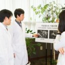 부흥한의원 네이버블로그