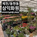 제일고 사거리 | [제천/동현동] 어버이날 카네이션 화분/ 집 식물 화분 들이고 싶을 때! 제천 삼익꽃난화원 방문,구매 후기!