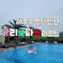 제주 수영장 펜션 넓고 가성비 좋은 크리스마스 리조트 솔직후기