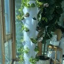 가든타워 이미지