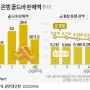 골드세탁 이미지