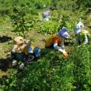 자미원농장 이미지