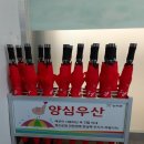 양심이네